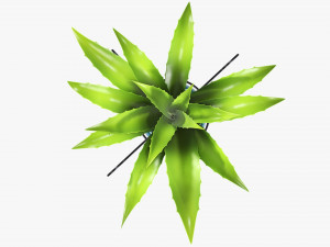 Potted plant 04 on console 3D 模型