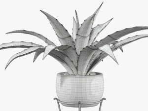Potted plant 04 on console 3D 模型