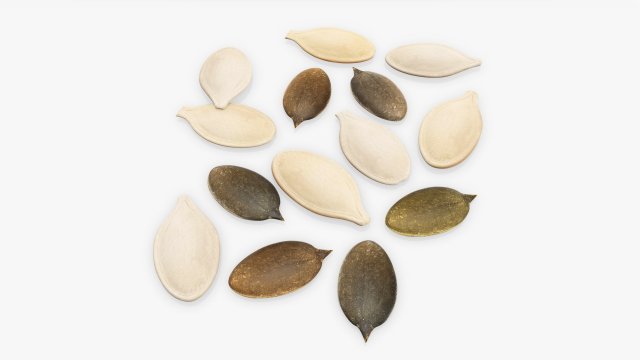 Pumpkin seeds 3D-Modell .c4d .max .obj .3ds .fbx .stl .blend 