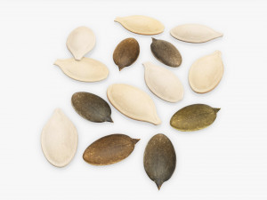 Pumpkin seeds 3D 모델