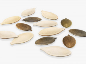 Pumpkin seeds 3D-Modell