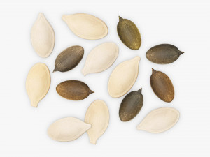Pumpkin seeds 3D-Modell
