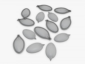 Pumpkin seeds 3D-Modell