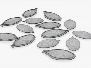 Pumpkin seeds 3D-Modell