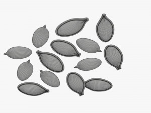 Pumpkin seeds 3D-Modell