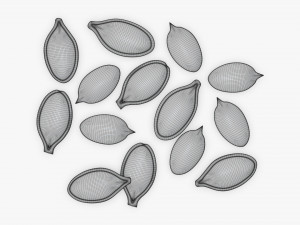 Pumpkin seeds 3D-Modell