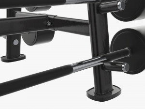 Rubber barbell set on rack Modelo 3D