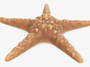Sea star on ground 3D Модель