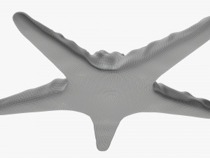 Sea star on ground 3D Модель