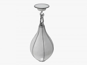 Speedball Punch Bag 3D Model