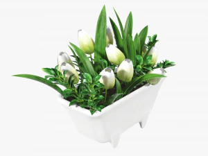 Tulip composition in bathtub 3D Model