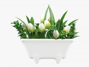 Tulip composition in bathtub 3D Model