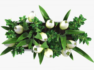 Tulip composition in bathtub 3D Model