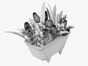 Tulip composition in bathtub Modelo 3D