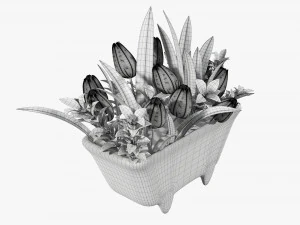 Tulip composition in bathtub 3D Model