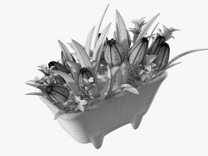 Tulip composition in bathtub Modelo 3D