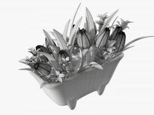 Tulip composition in bathtub 3D Model