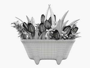 Tulip composition in bathtub Modelo 3D