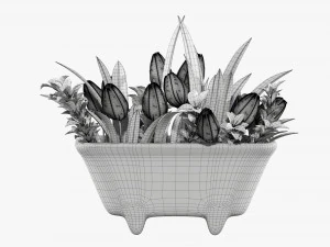 Tulip composition in bathtub 3D Model