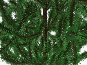 Artificial fir tree 02 3D Model