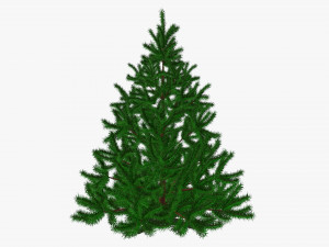 Artificial fir tree 03 3D Model