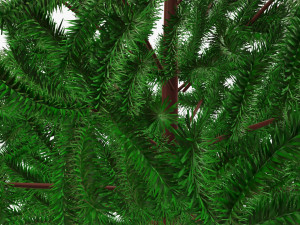 Artificial fir tree 03 3D Model