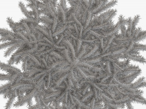 Artificial fir tree 03 3D Model
