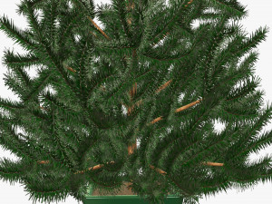 Artificial fir tree 04 3D Model