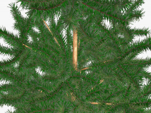 Artificial fir tree 04 3D Model