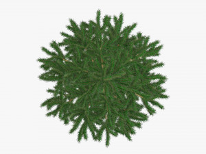 Artificial fir tree 04 3D Model