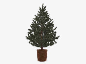 Artificial fir tree 05 Modelo 3D