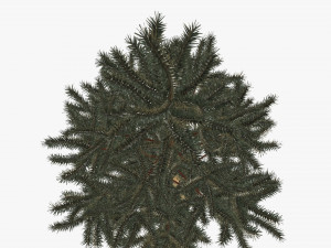 Artificial fir tree 05 Modelo 3D