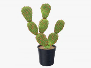 Cactus in vaso di plastica nera Modello 3D