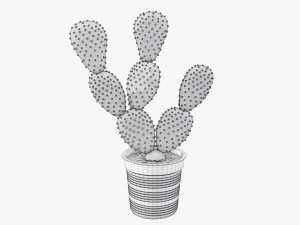 Cactus in black plastic pot Modelo 3D