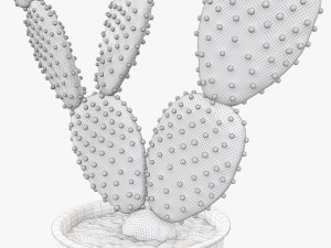 Cactus in black plastic pot Modelo 3D