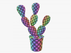 Cactus in black plastic pot Modelo 3D