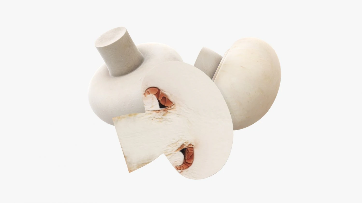 Champignons 3D Model .c4d .max .obj .3ds .fbx .stl .blend 