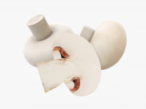 champi&ntilde;ones Modelo 3D