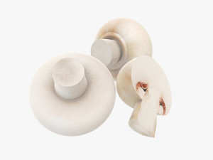 Champignons 3D Model