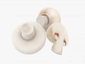 Champignons 3D Model