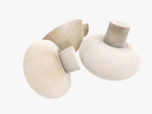 Champignons 3D Model