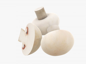 Champignons 3D Model