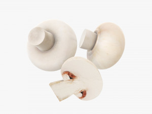 Champignons 3D Model