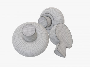 Champignons 3D Model