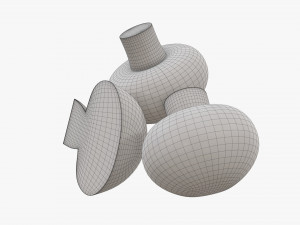 Champignons 3D Model