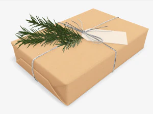 Christmas gift wrapped 05 3D Model