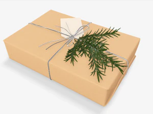 Christmas gift wrapped 05 3D Model