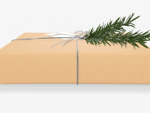 Christmas gift wrapped 05 Modelo 3D