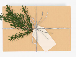 Christmas gift wrapped 05 Modelo 3D