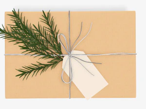 Christmas gift wrapped 05 3D Model